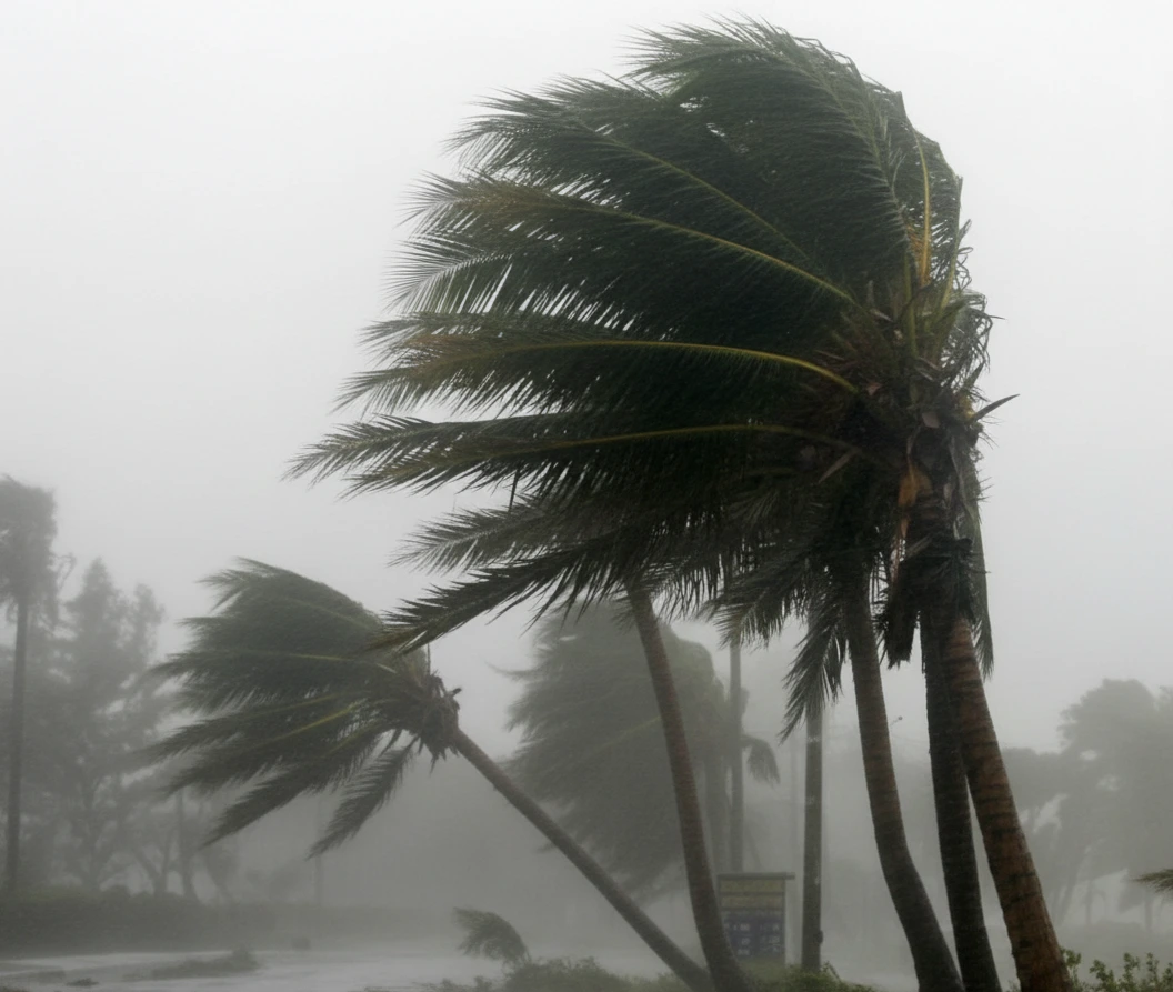 secubaix resitencia al viento